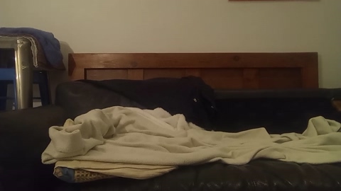 laurasexandfun7  31-01-2023